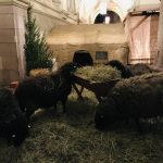 Neuntes Türchen