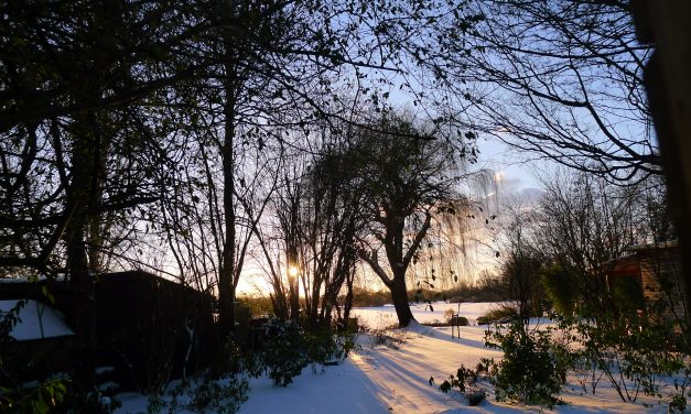 Neunzehntes Türchen