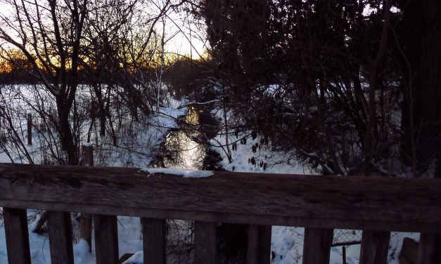 Siebzehntes Türchen