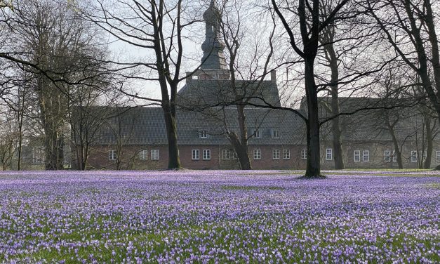 Vom Grauen, Blützenzauber und Hafenromantik