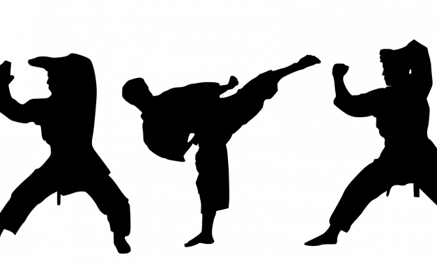 Gastbeitrag: Kampfkunst im Hinterhof, Teil 4