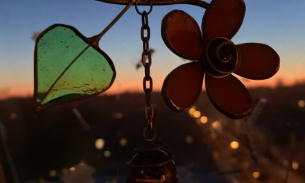 Neulich in Neufinster