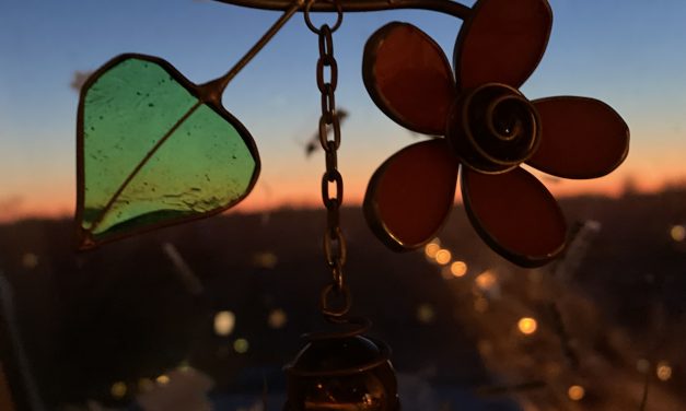 Neulich in Neufinster